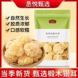 丞悦 椴木小银耳干货古田特产白木耳雪耳糯耳无硫新货软糯易出胶银耳羹 椴木小银耳干货半斤
