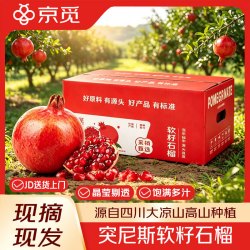 京觅 突尼斯软籽石榴 净重4.5斤 单果300g+ 生鲜水果会理石榴 源头直发