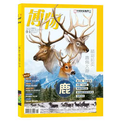 博物杂志2026年1-8月新中小学生国家地理环球少年地理万物好奇号自然科学科普百科期刊探秘海洋