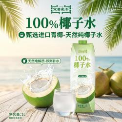 京典光年 100%椰子水 纯椰子水饮料 消暑解渴天然电解质 100%椰子水 1L*2瓶