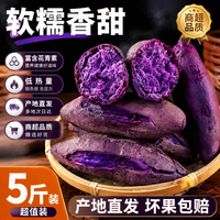 春福乐 正宗紫罗兰蜜薯沙地现挖紫薯产地直发香甜软糯孕妇宝宝健康早餐 5斤优选装净4斤
