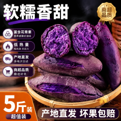 春福乐 正宗紫罗兰蜜薯沙地现挖紫薯产地直发香甜软糯孕妇宝宝健康早餐 5斤优选装净4斤