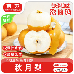 京觅 山东头茬秋月梨 净重5斤特大果 单果350g+ 源头直发包邮