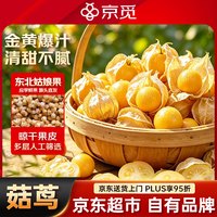 京觅 东北姑娘果 净重4.5斤装 灯笼果黄菇娘洋菇茑 新鲜水果 源头直发