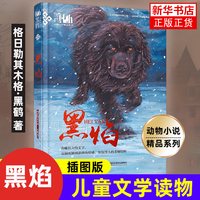 黑焰黑鹤动物小说精品系列课外阅读书目6-7-9-12岁儿童文学读物格日勒其木格故事图书籍寒暑假读物新华正版