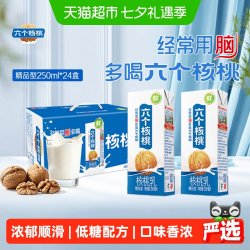 六个核桃 精品型植物蛋白核桃乳饮料 250ml*12罐