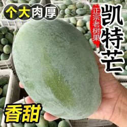 当季正宗凯特大芒果超甜大果新鲜凯特芒果整箱青皮大脸芒香甜多汁