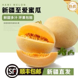 奇果出疆 顺丰空运正宗新疆直发哈密瓜西州蜜至爱网纹老汉瓜新鲜水果整箱