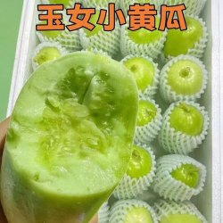单念 山东寿光玉女黄瓜新鲜生吃正宗金童玉女拇指小黄瓜现摘青孕妇蔬菜