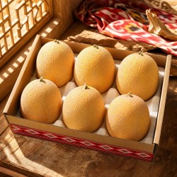 天鲜美逅 新疆黄金哈密瓜金色年华当季新鲜水果甜一整箱包邮现摘网纹老汉瓜