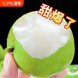 砀山梨皇冠梨梨脆甜多汁现摘现发新鲜水果当季水果农家果园