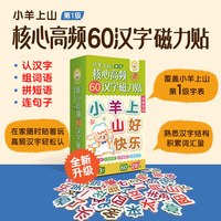 88VIP：核心高频汉字磁力贴第1-6级  冰箱贴汉语拼字识字训练幼儿早教 学汉字认组词连句子提高识字认知等
