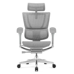 Ergonor 优系列 人体工学电脑椅
