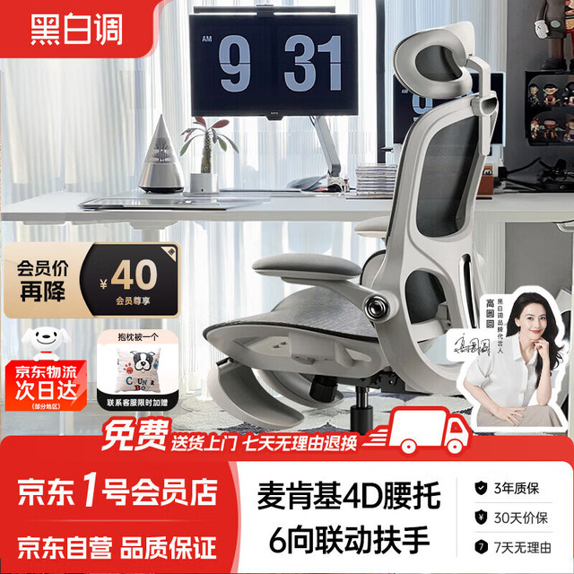 黑白调 P2 Pro 人体工学椅 霜白 脚托款