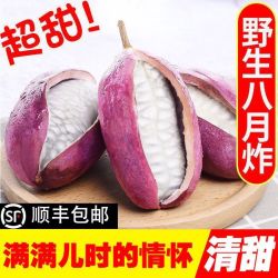 福建八月瓜野生8八月炸新鲜水果木通果3斤起精美彩箱