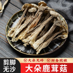 食膳康 鹿茸菇干货500g剪根鲜嫩云南脆脆菇菌子香菇批发正品新鲜煲汤