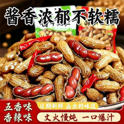 每果镇 卤汁水煮花生袋装500克五香麻辣味开袋即食带壳湿花生零食小吃
