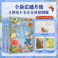 中国历史全书 五千年中华文明视觉通史 文物图鉴古代通史文化百科艺术画册