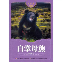 白掌母熊  正版书籍