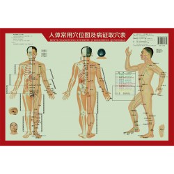 人体常用穴位图及病证取穴表