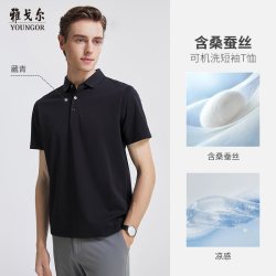 雅戈尔 夏季男士POLO衫商务休闲可机洗翻领短袖T恤