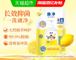 狮王 抑菌 儿童洗手液