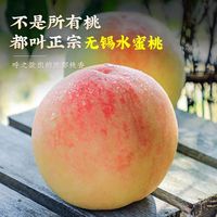 百亿补贴：雅翁 正宗无锡水蜜桃新鲜应季水果纯甜软桃撕皮吃彩箱礼盒