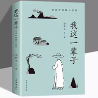 我这一辈子经典文学当代作品集精选中短篇小说自传体长篇小说