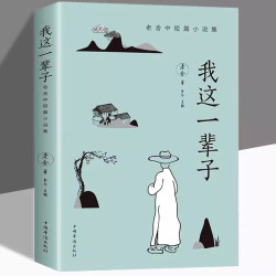 我这一辈子经典文学当代作品集精选中短篇小说自传体长篇小说