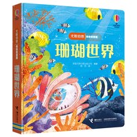 0-4岁 赠翻开系列 尤斯伯恩偷偷看里面全24册 宝宝早教科普绘本幼儿启蒙接力出版社Usborne包邮翻翻书