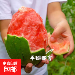 河南头茬2k手剥皮小吊瓜 净重3-4斤 手撕小西瓜