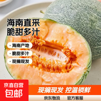 京喜自营-专用品牌 正宗海南哈密瓜脆甜9斤当季新鲜水果甜整箱包邮现摘网纹瓜西州蜜 甄选哈密瓜带箱9-10斤