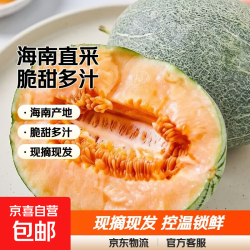 京喜自营-专用品牌 正宗海南哈密瓜脆甜9斤当季新鲜水果甜整箱包邮现摘网纹瓜西州蜜 甄选哈密瓜带箱9-10斤