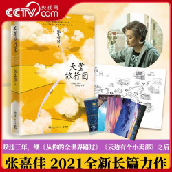 我是你的遗物 张嘉佳新书 从你的全世界路过 云边有个小卖部 天堂旅行团 张嘉佳青春文学小说书籍 DD