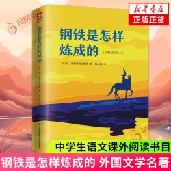 钢铁是怎样炼成的 [苏]尼·奥斯特洛夫斯基 语文课外阅读书目 外国文学名著 新华正版书籍