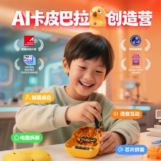学而思网校 AI卡皮巴拉创造营 大科学互动课程L1-L6KC