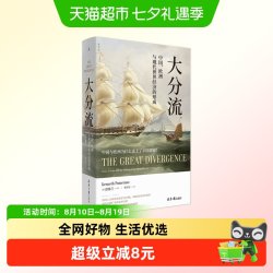 大分流 中国、欧洲与现代世界经济的形成 全新译本 彭慕兰著