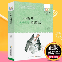 小布头奇遇记 儿童文学书系中小学 青少版 9-10-11-12周岁三四五六年级小学生阅读