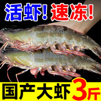 东上御品 青岛大虾 单只14-16cm 3斤 生鲜对虾
