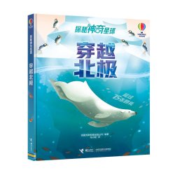 尤斯伯恩看里面揭秘系列揭秘系列儿童翻翻书数字积木3-6-8-12岁以上海洋动物太空人体3d立体接力出版社