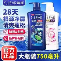 清扬 国货洗发水750ml男女士通用控油去屑止痒家庭家用实惠大瓶装 男士清爽控油750g