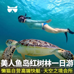 旅行美人鱼岛一日游马来西亚沙巴红树林kawa亚庇旅游天空之境