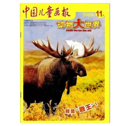 中国儿童画报动物大世界杂志2025年12月  雪山之巅 我的地盘动物科普小学生课外期刊