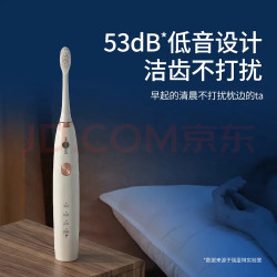 博皓 智能数显档清洁电动牙刷