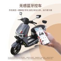 国家补贴：台铃 续航100km 电动摩托车  石墨烯电池 极致银 23Ah 72V