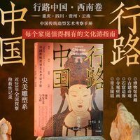 行路中国 西南卷 张伟主编 央美团队写给你的深度文化游指南 中信出版社图书 正版