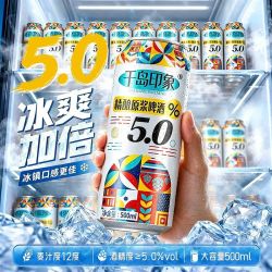 千岛印象 啤酒12度精酿原浆啤酒500ml*12罐装全麦啤酒5.0中式精酿
