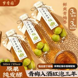 梦香园 手作青梅酒三年缸酿普宁青梅10度微醺纯酿梅果酒