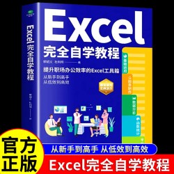 正版Excel完全自学教程办公软件由浅入深系统学习表格制作函数教程零基础到精通Exce2024实例