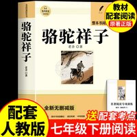 钢铁是怎样炼成的课外书人教版